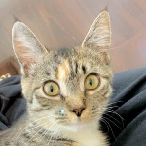 Meet your Posher, Kaitlin